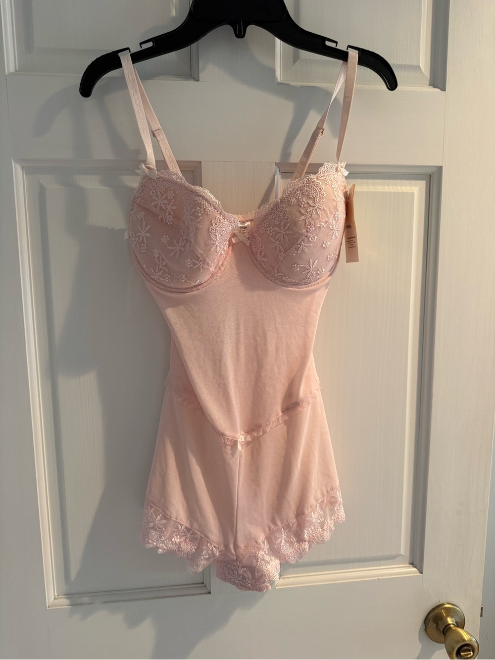 NWT Vintage Lady Princess Pink Lace Teddy Bodysuit Size Large, B cup